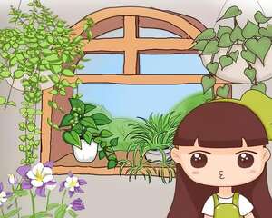 6种能养成高价盆景的植物，在家养几年，价格翻10倍！