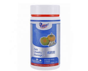 肥胖的狗狗要怎么喂食犬粮？