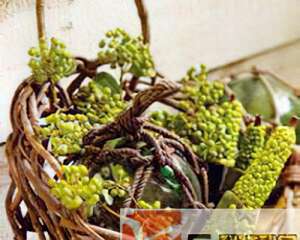 手工藤编花草 营造自然氛围生活(组图)