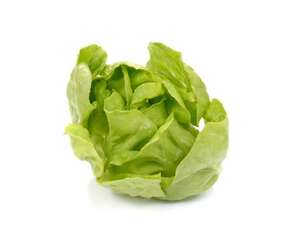 盆栽生菜怎么养，生菜浇水讲究
