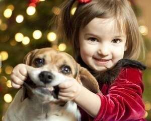 适时的抱起你的狗狗