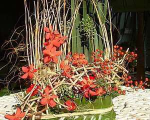 艷麗秋彩弄清姿(图)