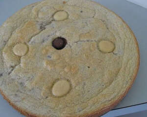 【美食攻略】为狗狗自制一款生日蛋糕