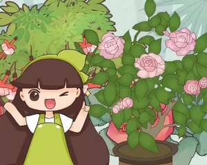 公认的懒人盆栽，比绿萝还省事，别再说你养不活了！