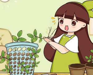 报告！发现一个扦插神器，插啥都能活！