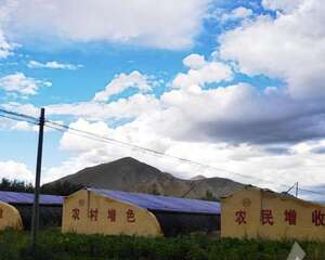 多肉植物进藏区，雪域高原多肉温室大棚助推地方经济发展