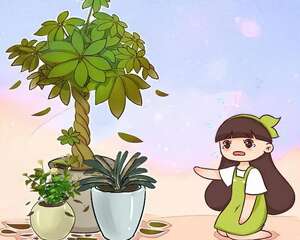 10种花，一降温就黄叶，赶紧换个地方养！