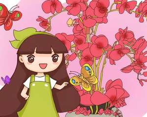 最受欢迎的贵气花，家里养一盆，富贵临门​寓意好！