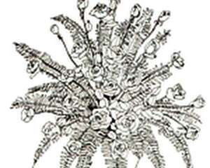 插花作品的常用造型