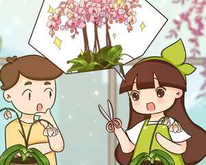 快住手！这花不是一次性，开完千万别丢了！