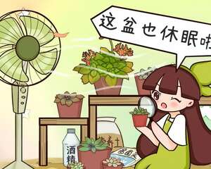 花一变这样，就是休眠了，赶紧换个地方养！