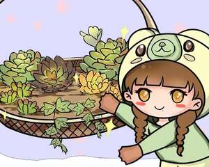 家里的菜篮子别扔，拿来养花，大有用处！