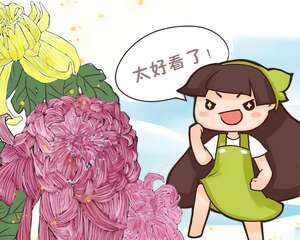 这花冬天必须剪，剪多剪少全看这儿，一不小心只剩盆！