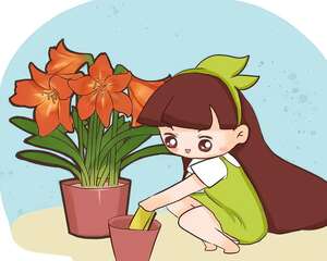 朱顶红怎么养？种球不能全埋土里，不然…