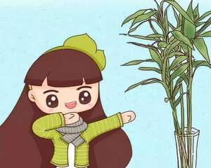 这6种“转运花”，吉祥又富贵，养的越好越旺家！