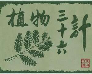 植物三十六计之：逆境求生