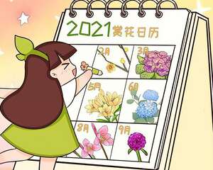 有品位的人都养它，叶似松，花像红梅，太富贵！