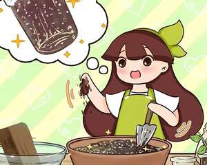 扦插就用它，保湿、保温，插上5天就生根！