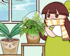 10种花的缺水信号，看到赶紧浇，不然3天必死