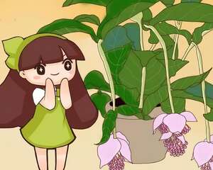 客厅摆盆它，一开就是3个月，有品位、上档次！