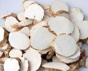 中医治猫病之解表药