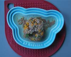【美食攻略】自制美味猫饭