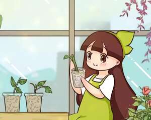 现在开始，这花要修剪、扦插，今年能变大户！