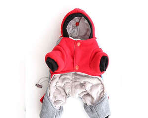 狗狗衣服不能随便给狗狗穿