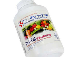 狗狗钙片适合什么时期的狗狗？