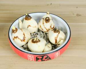 水仙冬天养殖的禁忌