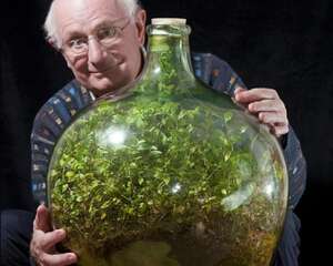 微景观世界之最：英国男子密封瓶中种植物已存活40年