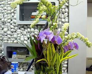 家居插花布置有讲究(图)