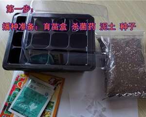 大美秋天岂容错过，图文播种教程送给同样喜欢播种的你