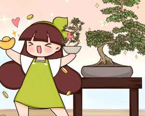 2021养盆镇宅花，当做守护神，好运进来，霉运离开！