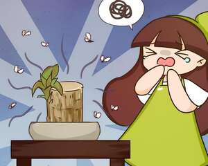 网上买的小木桩，泡水半个月，臭了还没长芽！