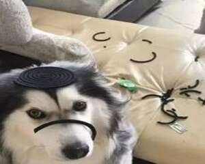 一直打喷嚏怎么办