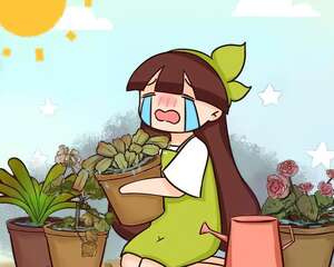 这花不敢买，秋天死太快，养不活惹一肚子气！