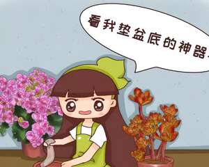 花盆里垫点它，浇点水就疯长，大白根挤满盆！
