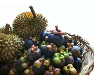 山竹的功效与作用，孕妇可以吃山竹吗