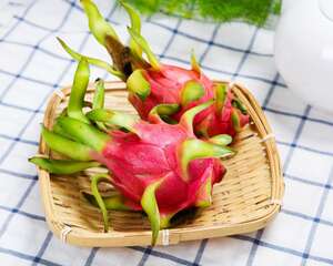 火龙果怎么种植