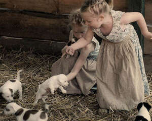 新主人要为狗狗挑选哪些物品