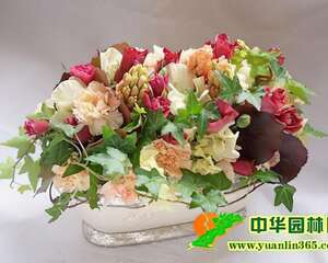 日本的插花艺术