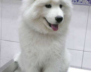 那些美食你的宝贝不能碰