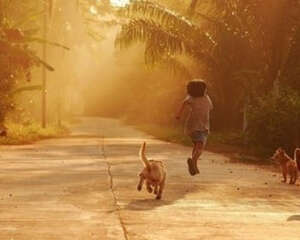 如何正确的与狗狗游戏