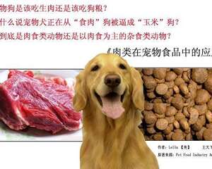 狗是肉食类动物还是以肉食为主的杂食类动物