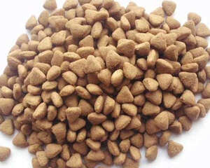 狗粮牌子重不重要