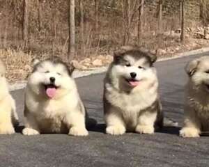 你还在为