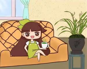 这种耐阴花，摆客厅上档次，一开花跟香水似的！