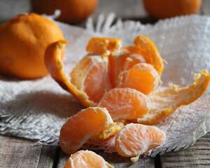 目前高端的柑桔品种有哪些