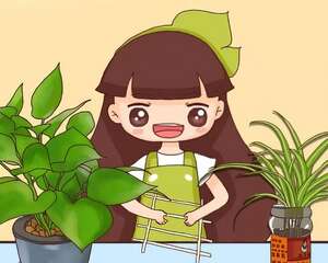 旧筷子、老干妈瓶别扔，拿来养花有大用处！